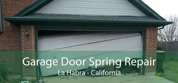 Garage Door Spring Repair La Habra - California