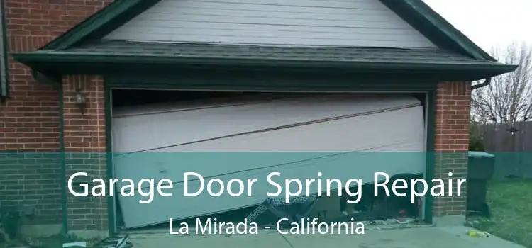 Garage Door Spring Repair La Mirada - California