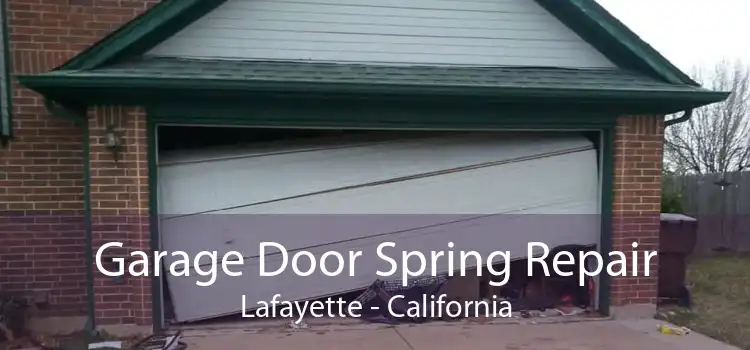 Garage Door Spring Repair Lafayette - California