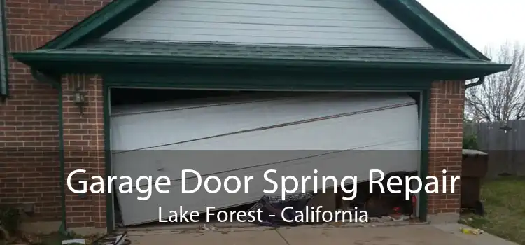 Garage Door Spring Repair Lake Forest - California