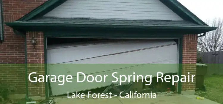 Garage Door Spring Repair Lake Forest - California