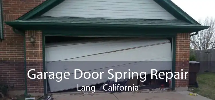 Garage Door Spring Repair Lang - California