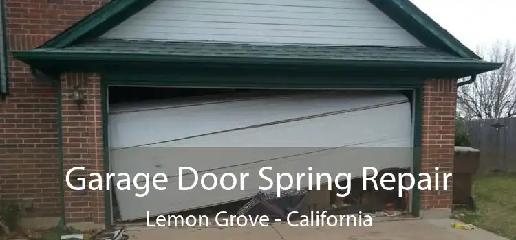 Garage Door Spring Repair Lemon Grove - California