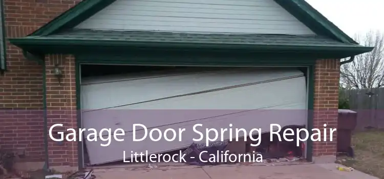 Garage Door Spring Repair Littlerock - California