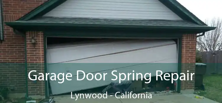 Garage Door Spring Repair Lynwood - California