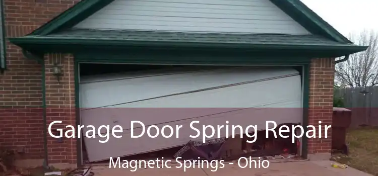 Garage Door Spring Repair Magnetic Springs - Ohio