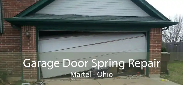 Garage Door Spring Repair Martel - Ohio