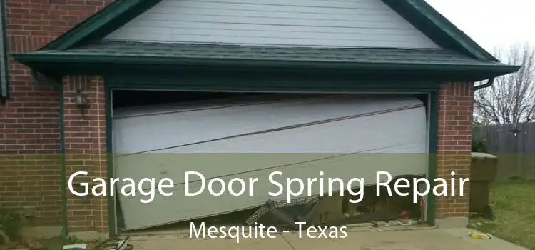 Garage Door Spring Repair Mesquite - Texas