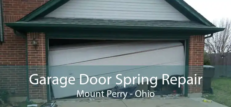 Garage Door Spring Repair Mount Perry - Ohio