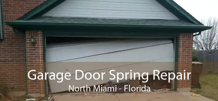 Garage Door Spring Repair North Miami - Florida
