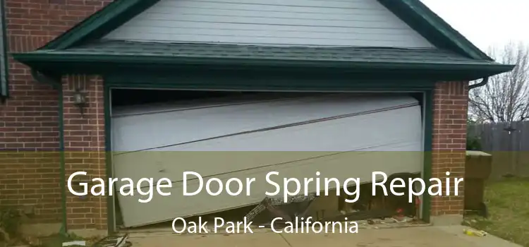 Garage Door Spring Repair Oak Park - California