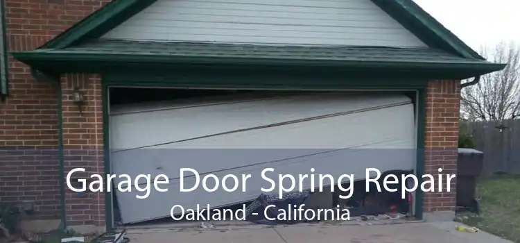 Garage Door Spring Repair Oakland - California