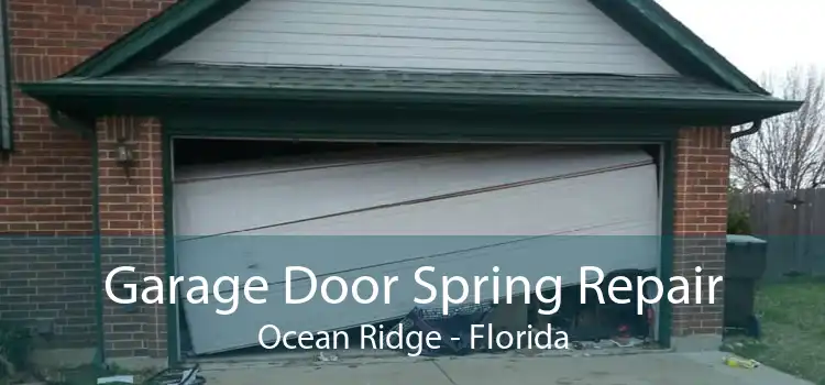 Garage Door Spring Repair Ocean Ridge - Florida
