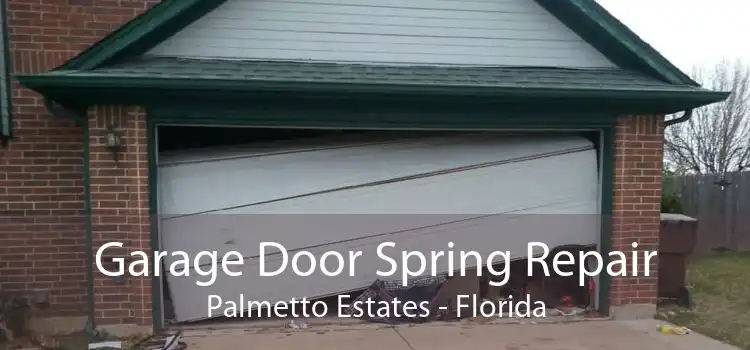 Garage Door Spring Repair Palmetto Estates - Florida