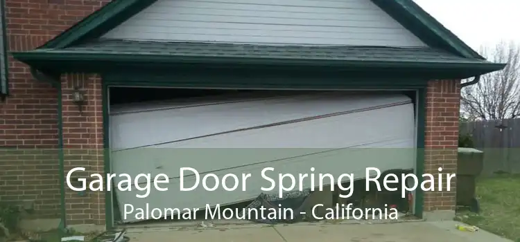Garage Door Spring Repair Palomar Mountain - California