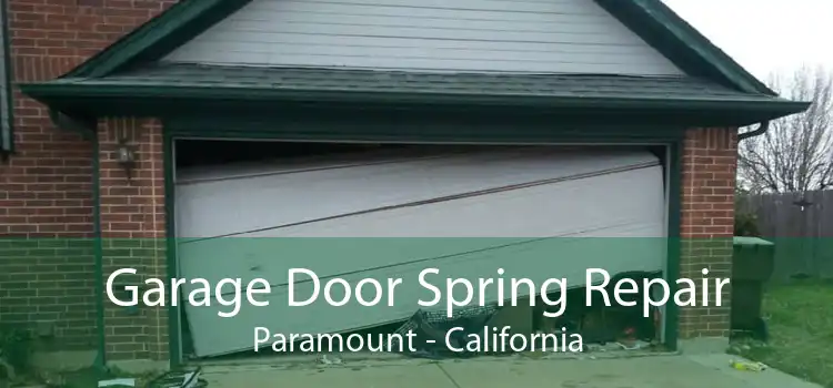 Garage Door Spring Repair Paramount - California