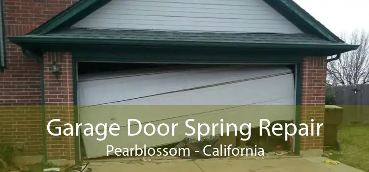 Garage Door Spring Repair Pearblossom - California