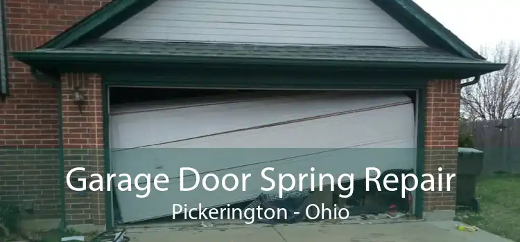 Garage Door Spring Repair Pickerington - Ohio