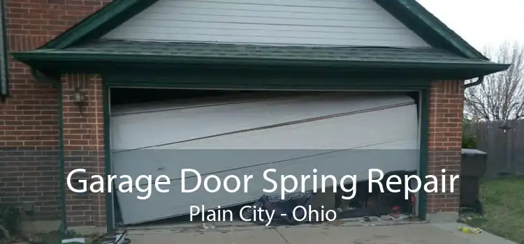 Garage Door Spring Repair Plain City - Ohio