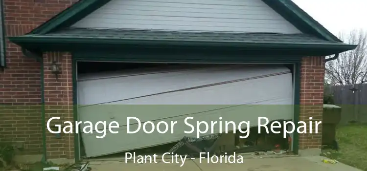 Garage Door Spring Repair Plant City - Florida