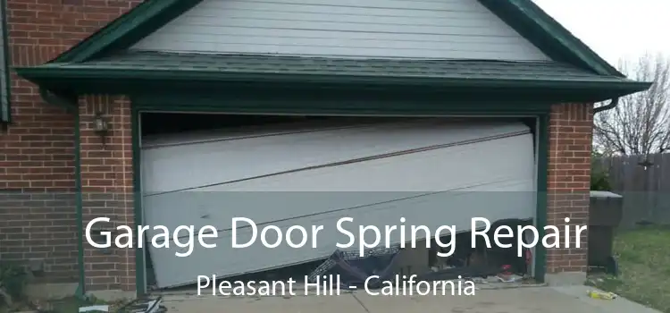 Garage Door Spring Repair Pleasant Hill - California