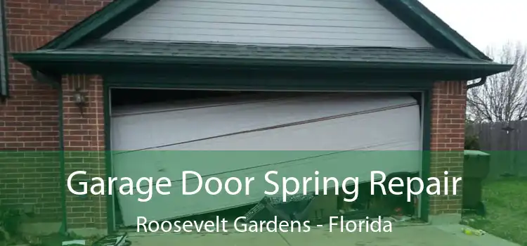 Garage Door Spring Repair Roosevelt Gardens - Florida