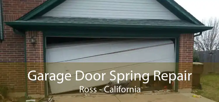 Garage Door Spring Repair Ross - California