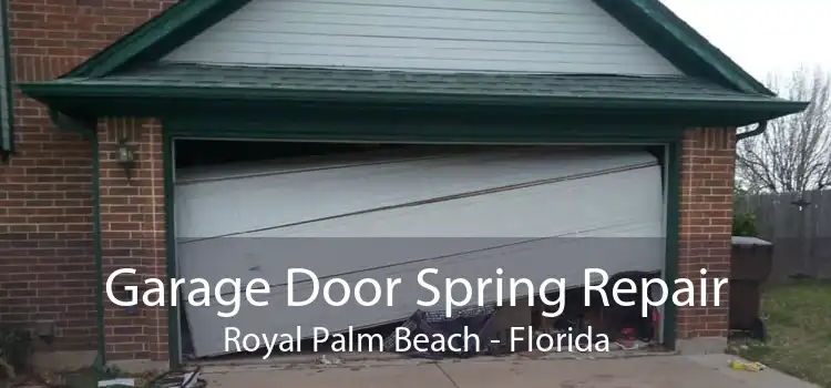 Garage Door Spring Repair Royal Palm Beach - Florida