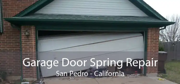 Garage Door Spring Repair San Pedro - California