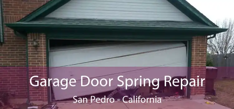 Garage Door Spring Repair San Pedro - California