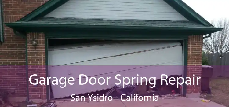 Garage Door Spring Repair San Ysidro - California