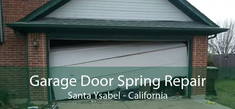 Garage Door Spring Repair Santa Ysabel - California