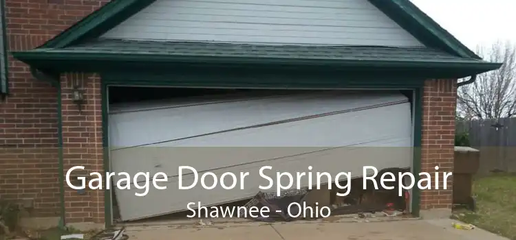 Garage Door Spring Repair Shawnee - Ohio
