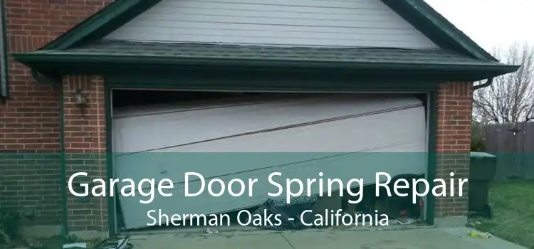 Garage Door Spring Repair Sherman Oaks - California