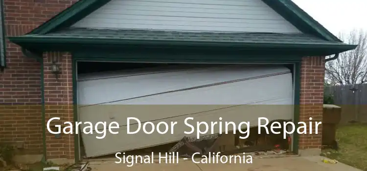 Garage Door Spring Repair Signal Hill - California