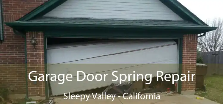 Garage Door Spring Repair Sleepy Valley - California