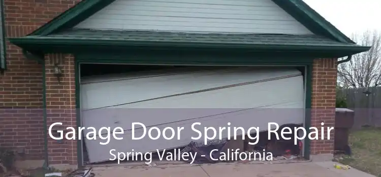 Garage Door Spring Repair Spring Valley - California