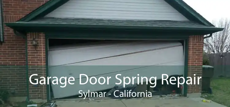 Garage Door Spring Repair Sylmar - California