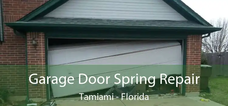 Garage Door Spring Repair Tamiami - Florida