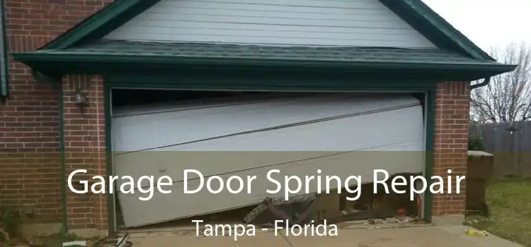 Garage Door Spring Repair Tampa - Florida