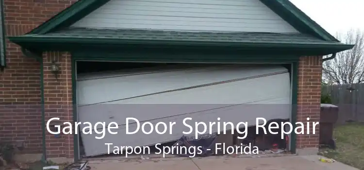 Garage Door Spring Repair Tarpon Springs - Florida