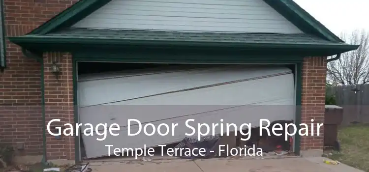 Garage Door Spring Repair Temple Terrace - Florida