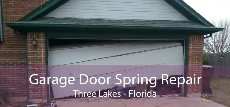 Garage Door Spring Repair Three Lakes - Florida
