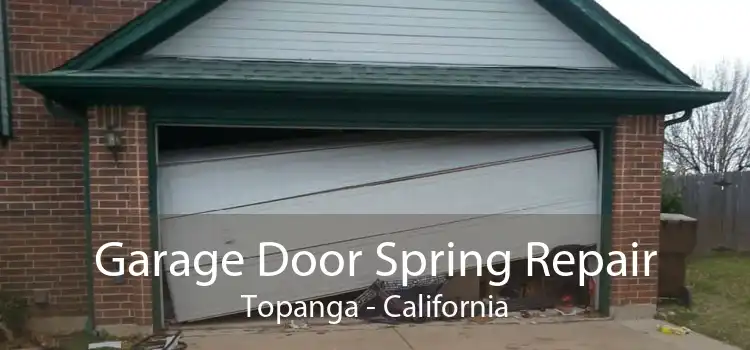 Garage Door Spring Repair Topanga - California