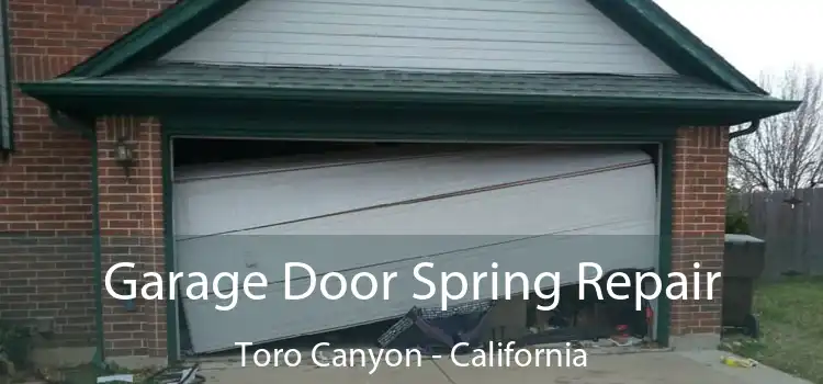 Garage Door Spring Repair Toro Canyon - California