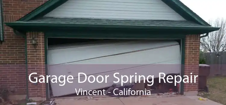 Garage Door Spring Repair Vincent - California
