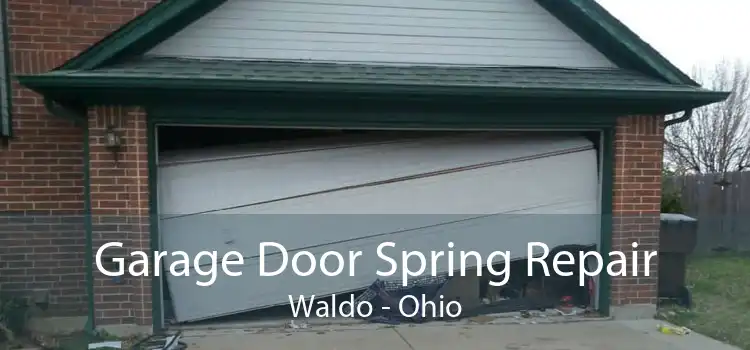 Garage Door Spring Repair Waldo - Ohio