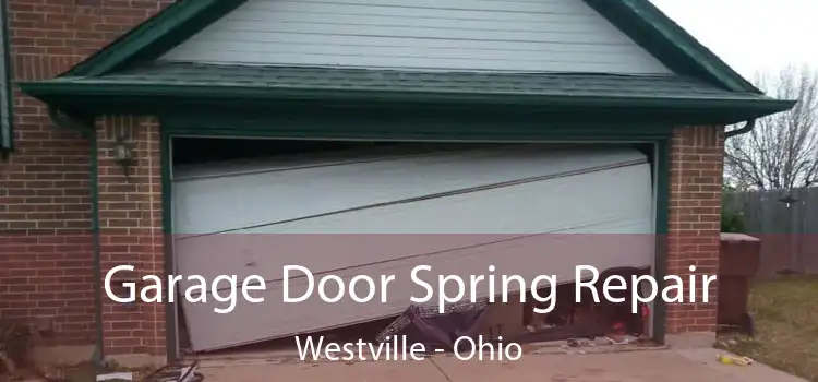 Garage Door Spring Repair Westville - Ohio