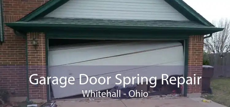 Garage Door Spring Repair Whitehall - Ohio