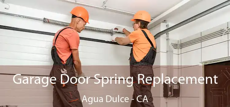 Garage Door Spring Replacement Agua Dulce - CA